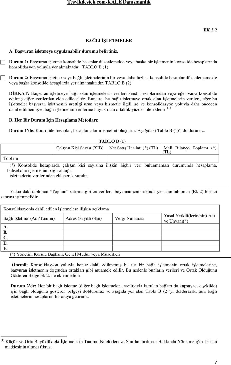 TABLO B (1) Durum 2: Başvuran işletme veya bağlı işletmelerinin bir veya daha fazlası konsolide hesaplar düzenlememekte veya başka konsolide hesaplarda yer almamaktadır.