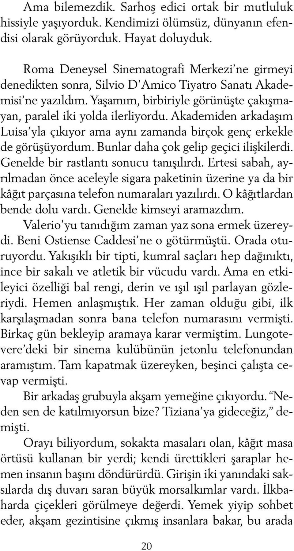 Akademiden arkadaşım Luisa yla çıkıyor ama aynı zamanda birçok genç erkekle de görüşüyordum. Bunlar daha çok gelip geçici ilişkilerdi. Genelde bir rastlantı sonucu tanışılırdı.