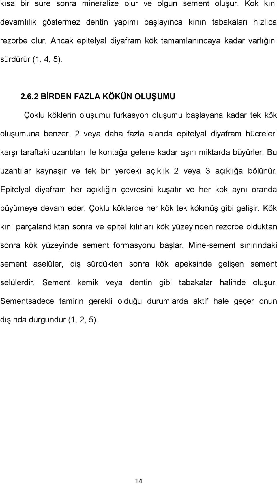 2 veya daha fazla alanda epitelyal diyafram hücreleri karşı taraftaki uzantıları ile kontağa gelene kadar aşırı miktarda büyürler.