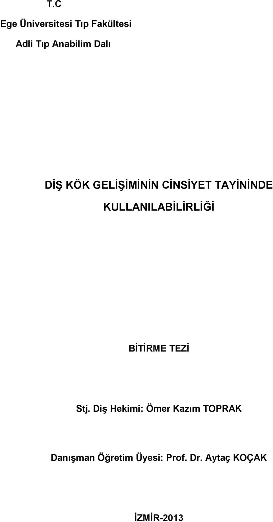 KULLANILABİLİRLİĞİ BİTİRME TEZİ Stj.