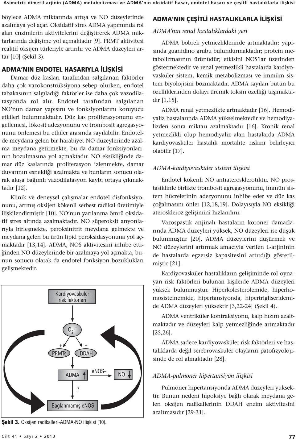 PRMT aktivitesi reaktif oksijen türleriyle artırılır ve düzeyleri artar [10] (Şekil 3).