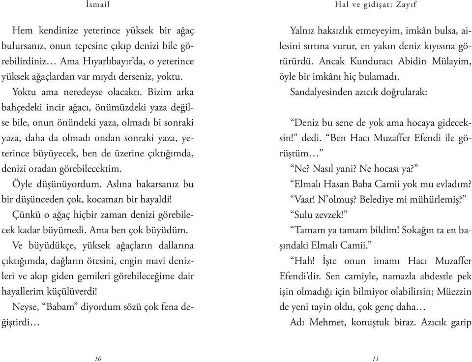 Bizim arka bahçedeki incir ağacı, önümüzdeki yaza değilse bile, onun önündeki yaza, olmadı bi sonraki yaza, daha da olmadı ondan sonraki yaza, yeterince büyüyecek, ben de üzerine çıktığımda, denizi