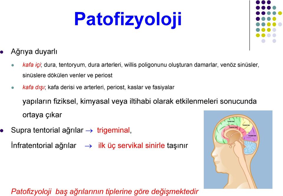 yapıların fiziksel, kimyasal veya iltihabi olarak etkilenmeleri sonucunda ortaya çıkar Supra tentorial ağrılar