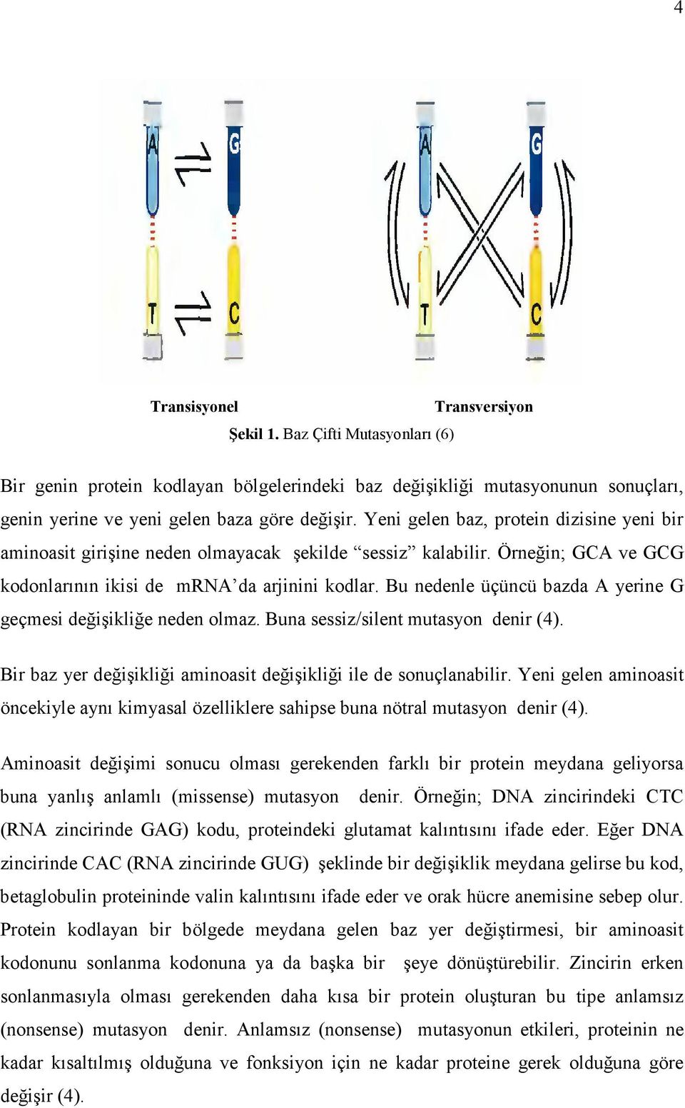 Bu nedenle üçüncü bazda A yerine G geçmesi değişikliğe neden olmaz. Buna sessiz/silent mutasyon denir (4). Bir baz yer değişikliği aminoasit değişikliği ile de sonuçlanabilir.