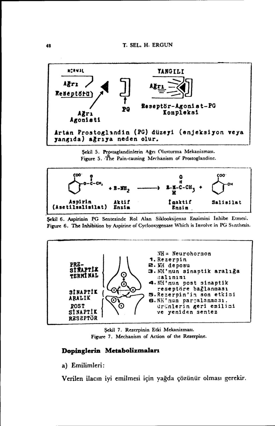 o ) &-Il-C-CH " J + lı haktlt Enziııı SaUsHat Şekil 6. Aspirinin ~G Sentezinde Rol Alan Siklooksijenaz Enzimini İnhibe Etmesi. Figure 6.