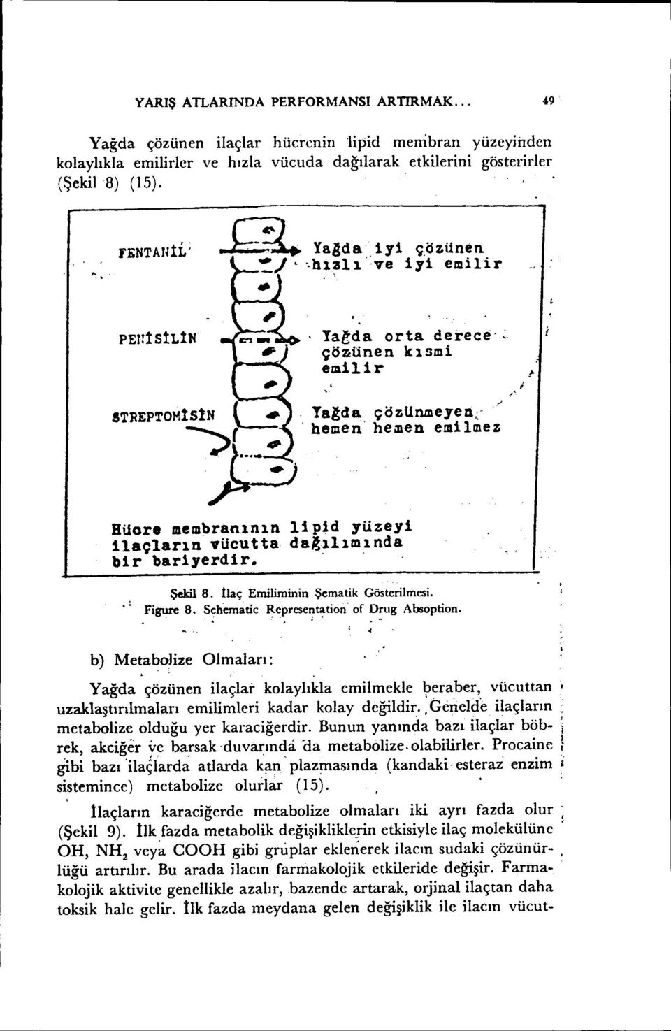 - hemen he~ed emilmez Hücre membranının l1p~d yüzeyi ilaçlarıd vücutta da~~lımında bir bariyerdir. şekil 8. ılaç Emiliminin Şematik Gösterilmesi.. ~.. ~.. Fi~ 8. S<?