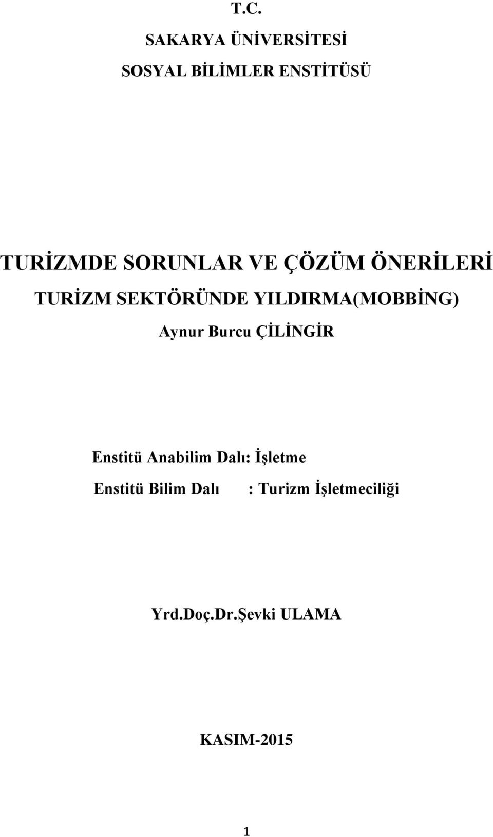 Aynur Burcu ÇİLİNGİR Enstitü Anabilim Dalı: İşletme Enstitü