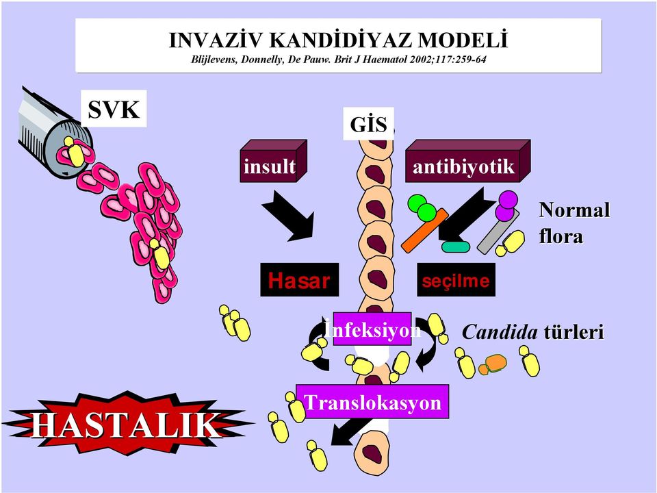 Brit J Haematol2002;117:259-64 SVK GİS insult