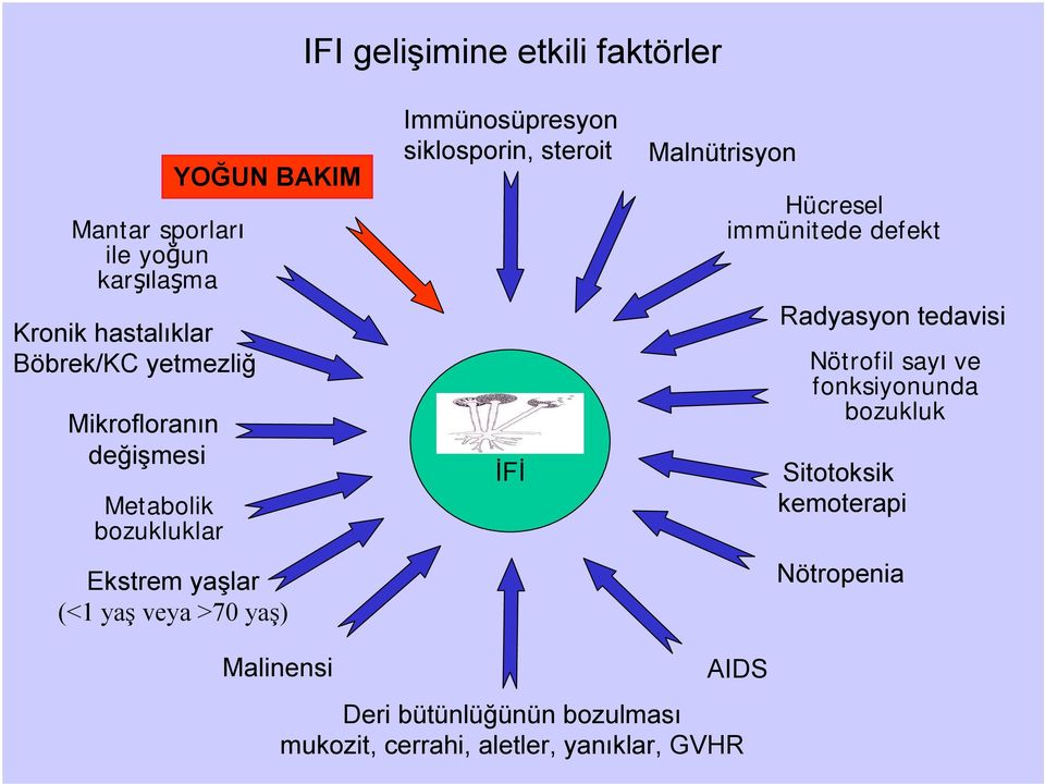 siklosporin, steroit İFİ Malnütrisyon Hücresel immünitede defekt Radyasyon tedavisi Nötrofil sayı ve fonksiyonunda