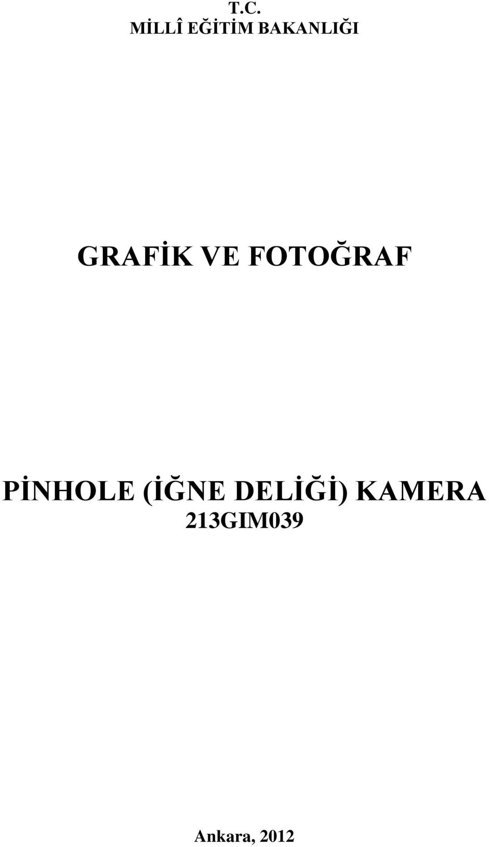 FOTOĞRAF PİNHOLE (İĞNE