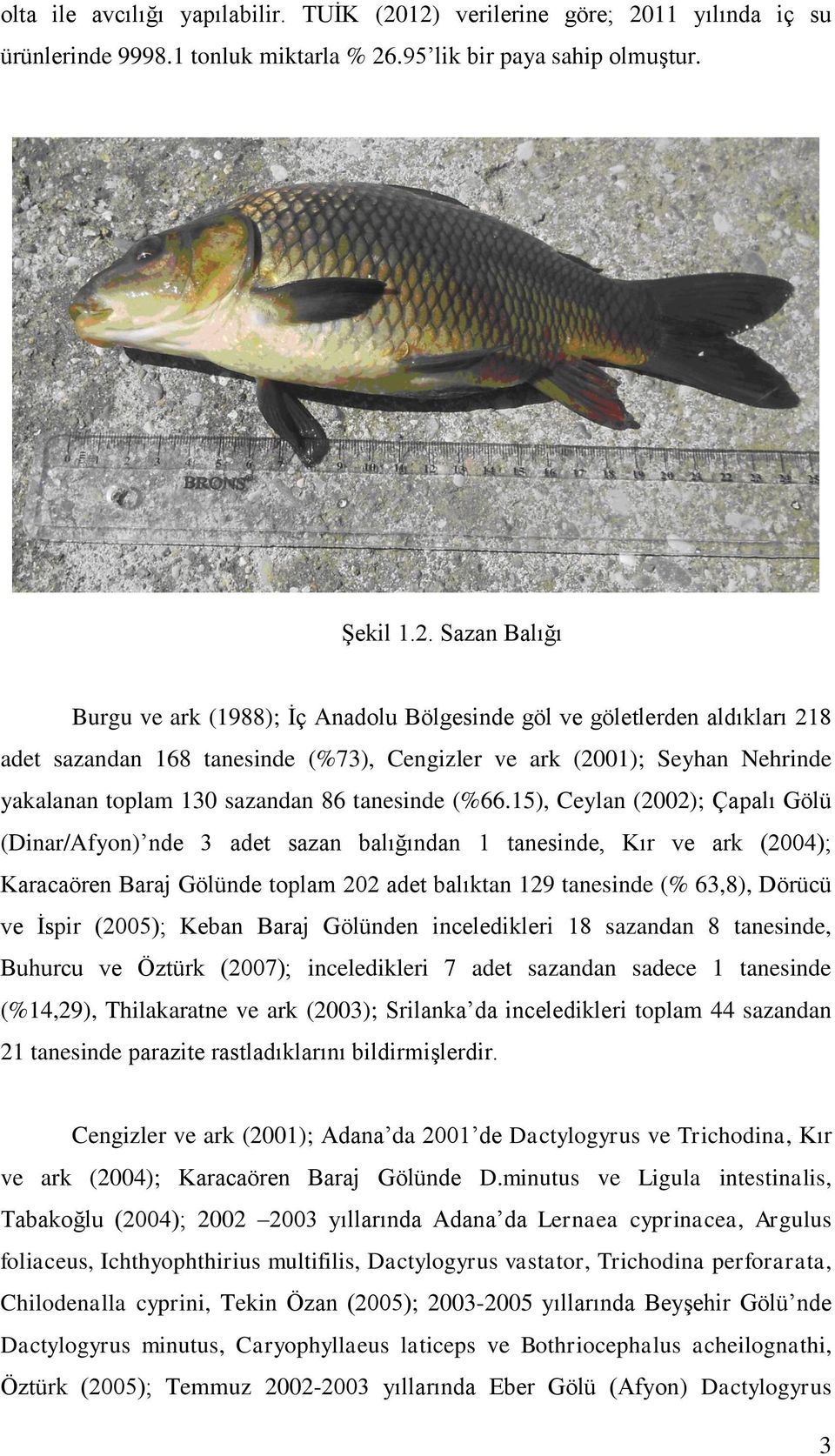 aldıkları 218 adet sazandan 168 tanesinde (%73), Cengizler ve ark (2001); Seyhan Nehrinde yakalanan toplam 130 sazandan 86 tanesinde (%66.