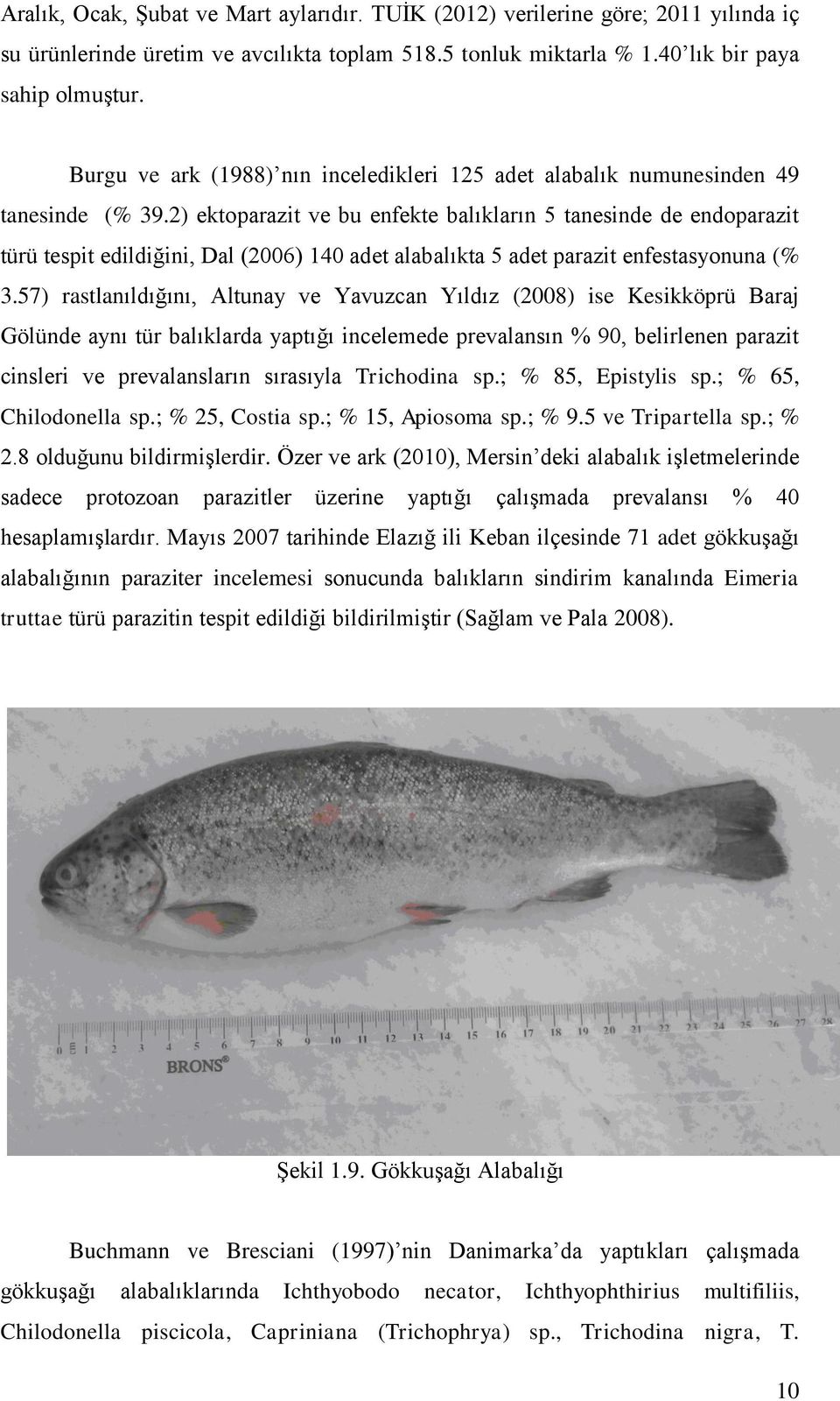 2) ektoparazit ve bu enfekte balıkların 5 tanesinde de endoparazit türü tespit edildiğini, Dal (2006) 140 adet alabalıkta 5 adet parazit enfestasyonuna (% 3.