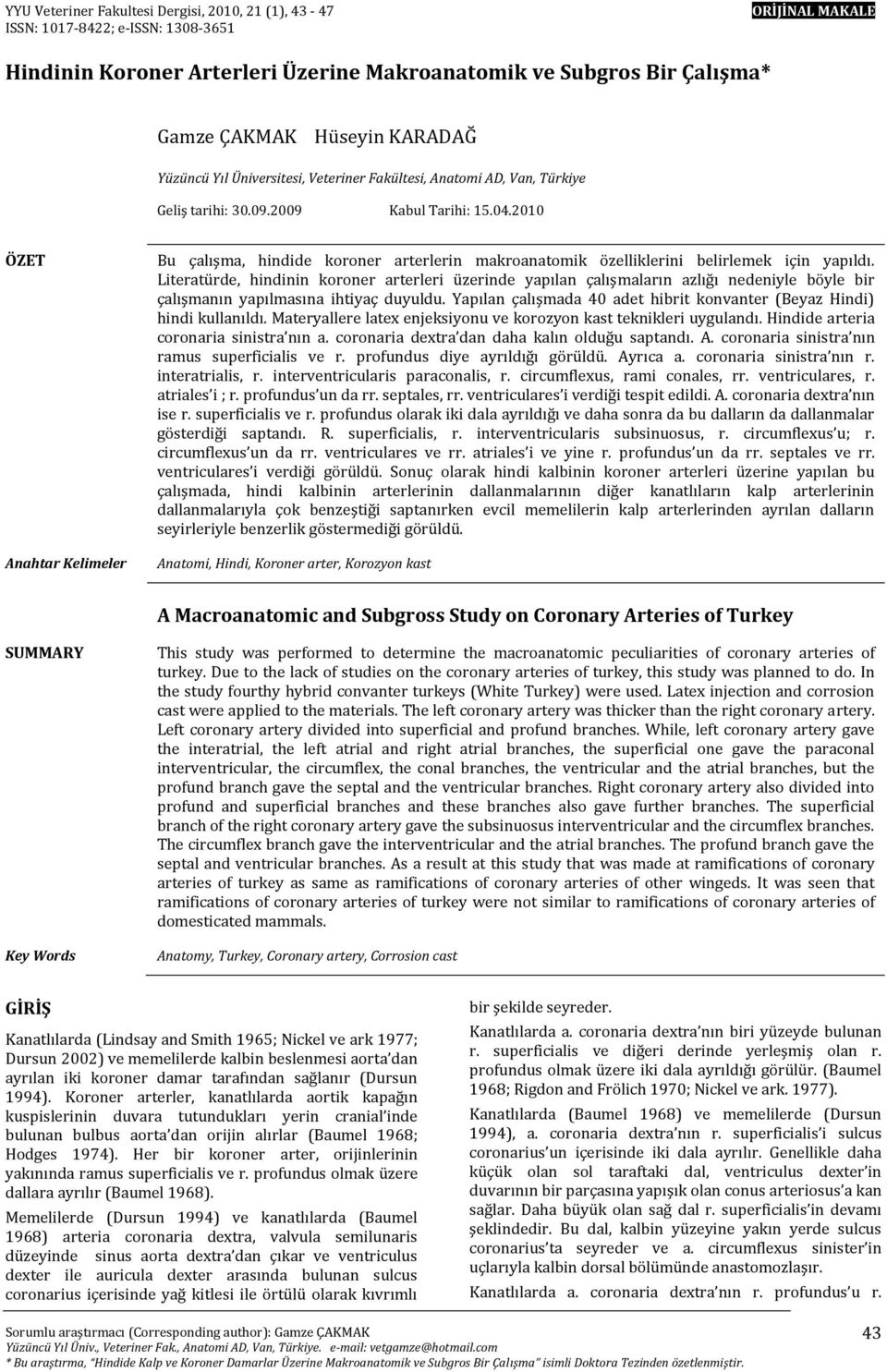 2010 ÖZET Anahtar Kelimeler Bu çalışma, hindide koroner arterlerin makroanatomik özelliklerini belirlemek için yapıldı.