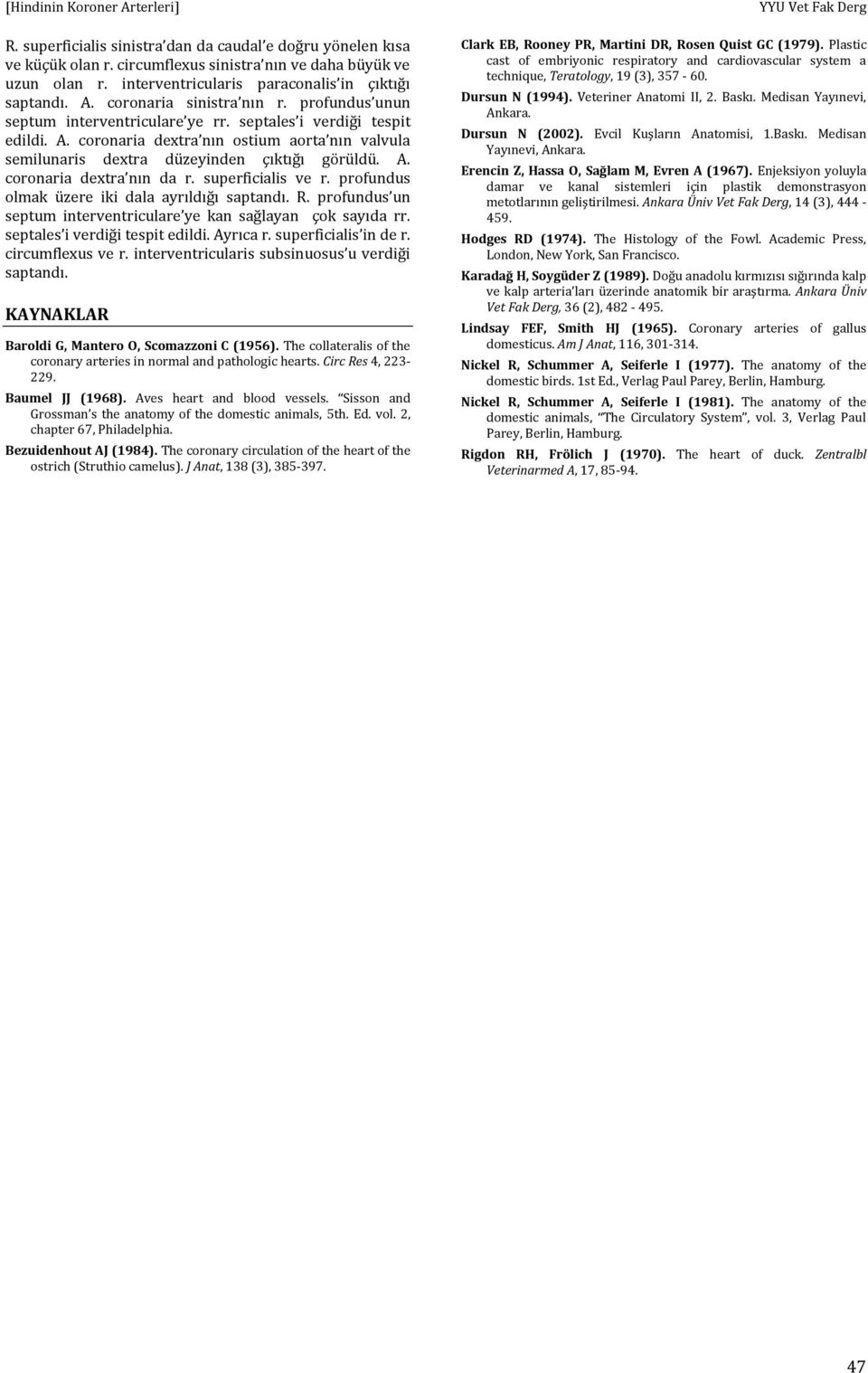 A. coronaria dextra nın da r. superficialis ve r. profundus olmak üzere iki dala ayrıldığı saptandı. R. profundus un septum interventriculare ye kan sağlayan çok sayıda rr.