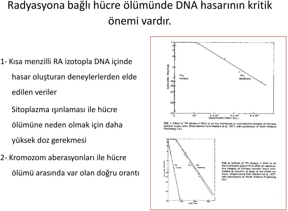 edilen veriler Sitoplazma ışınlaması ile hücre ölümüne neden olmak için daha