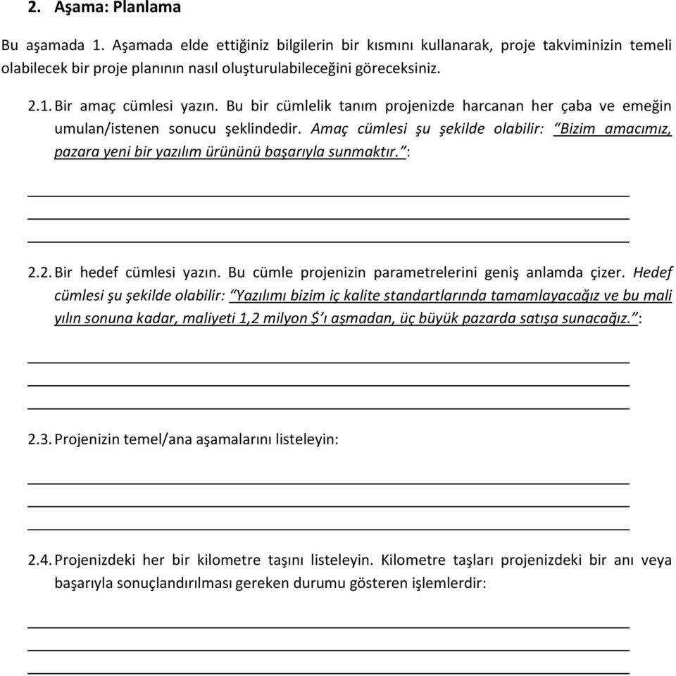 : 2.2. Bir hedef cümlesi yazın. Bu cümle projenizin parametrelerini geniş anlamda çizer.