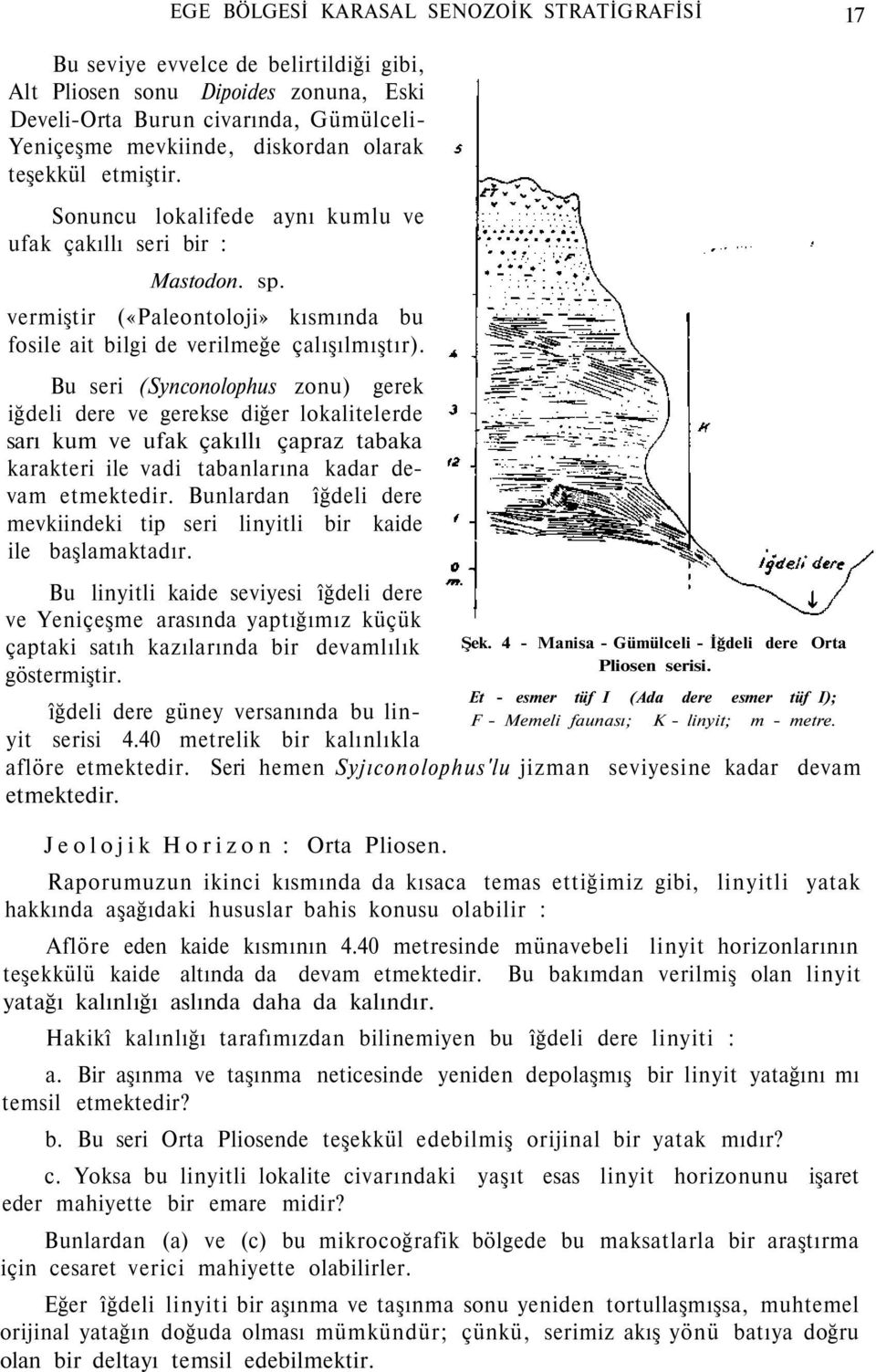 Bu seri (Synconolophus zonu) gerek iğdeli dere ve gerekse diğer lokalitelerde sarı kum ve ufak çakıllı çapraz tabaka karakteri ile vadi tabanlarına kadar devam etmektedir.