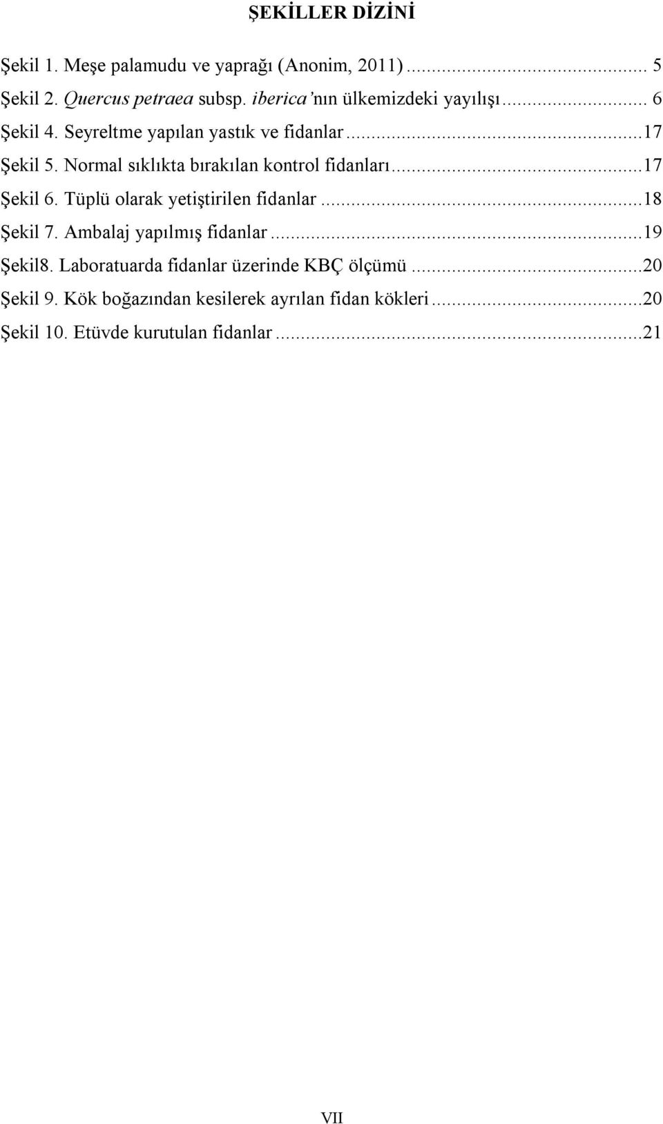 Normal sıklıkta bırakılan kontrol fidanları...17 Şekil 6. Tüplü olarak yetiştirilen fidanlar...18 Şekil 7.