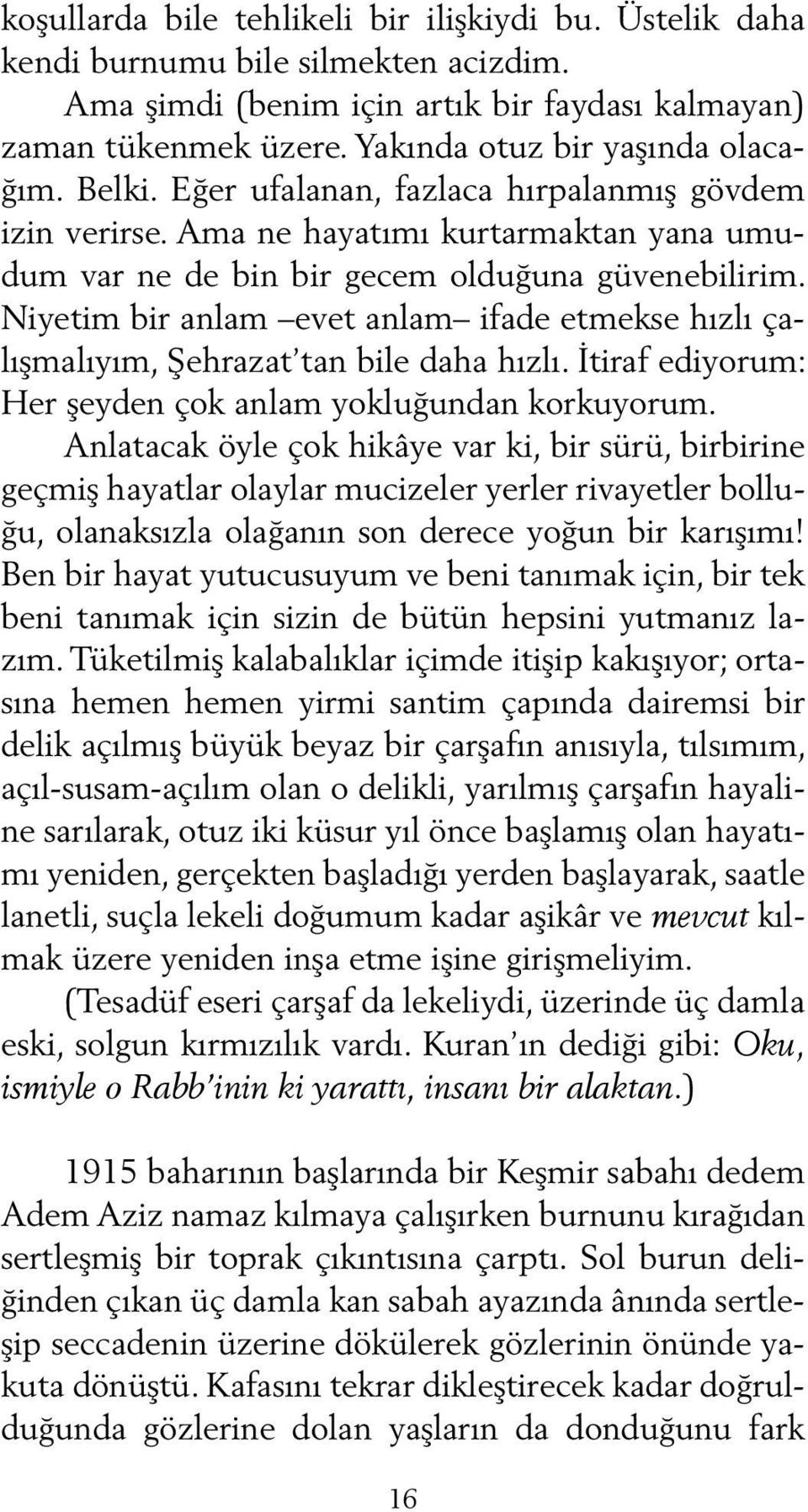 Niyetim bir anlam evet anlam ifade etmekse hızlı çalışmalıyım, Şehrazat tan bile daha hızlı. İtiraf ediyorum: Her şeyden çok anlam yokluğundan korkuyorum.