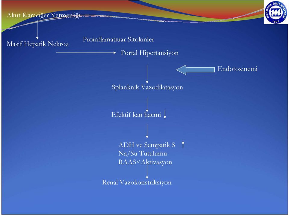 Endotoxinemi Splanknik Vazodilatasyon Efektif kan hacmi