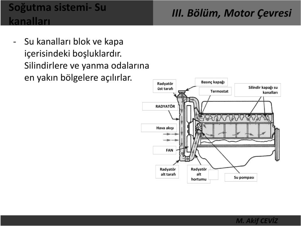 Silindirlere ve yanma odalarına en yakın bölgelere açılırlar.