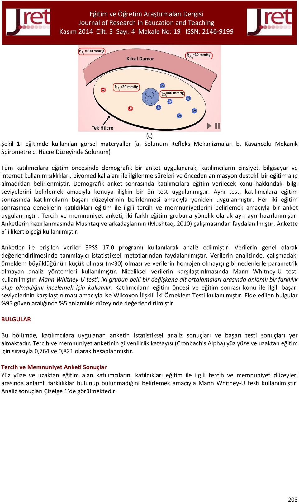 süreleri ve önceden animasyon destekli bir eğitim alıp almadıkları belirlenmiştir.