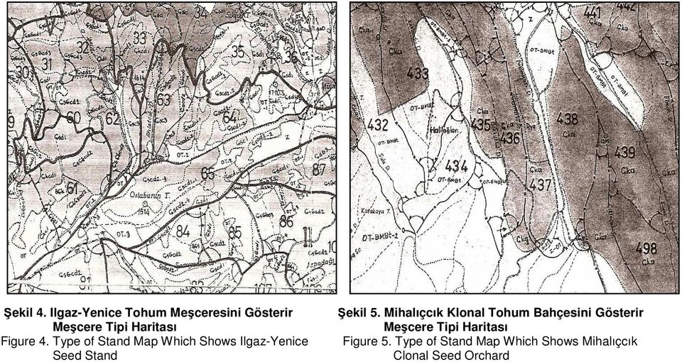 Meşcere Tipi Haritası Figure 4.