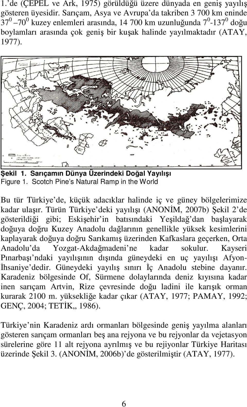 Şekil 1. Sarıçamın Dünya Üzerindeki Doğal Yayılışı Figure 1. Scotch Pine s Natural Ramp in the World Bu tür Türkiye de, küçük adacıklar halinde iç ve güney bölgelerimize kadar ulaşır.