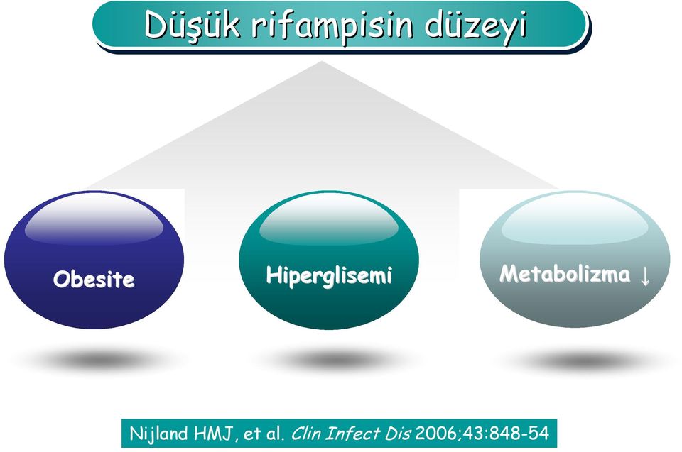 Metabolizma Nijland HMJ,