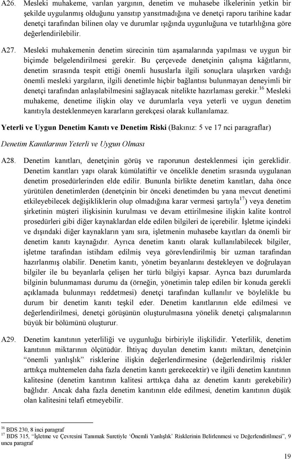 Bu çerçevede denetçinin çalışma kâğıtlarını, denetim sırasında tespit ettiği önemli hususlarla ilgili sonuçlara ulaşırken vardığı önemli mesleki yargıların, ilgili denetimle hiçbir bağlantısı