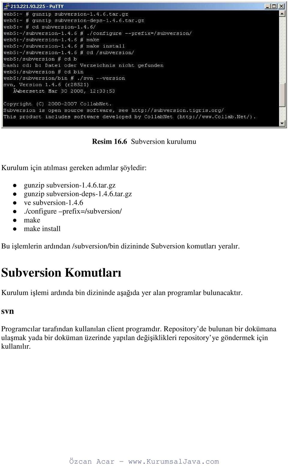 Subversion Komutları Kurulum işlemi ardında bin dizininde aşağıda yer alan programlar bulunacaktır.