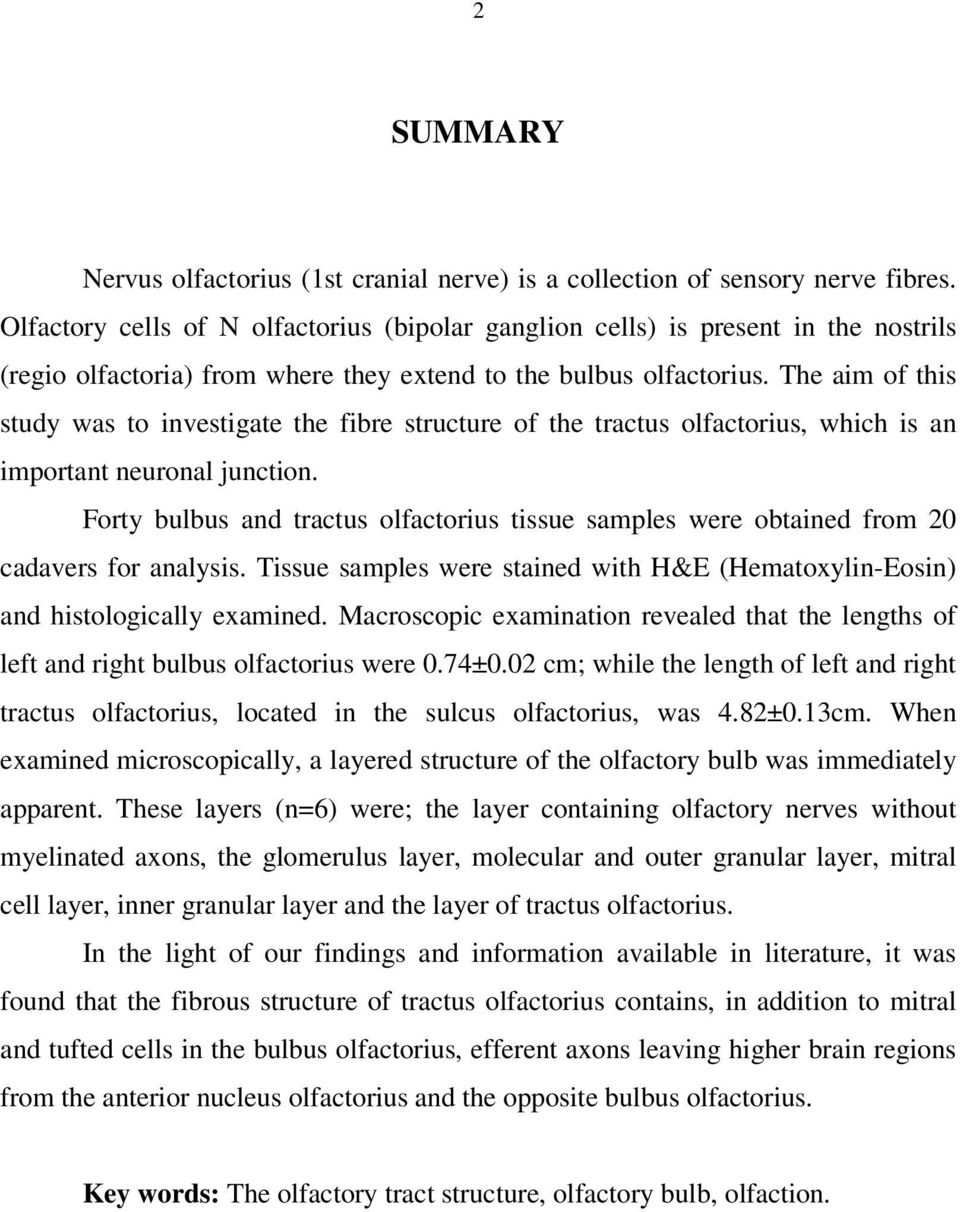 The aim of this study was to investigate the fibre structure of the tractus olfactorius, which is an important neuronal junction.