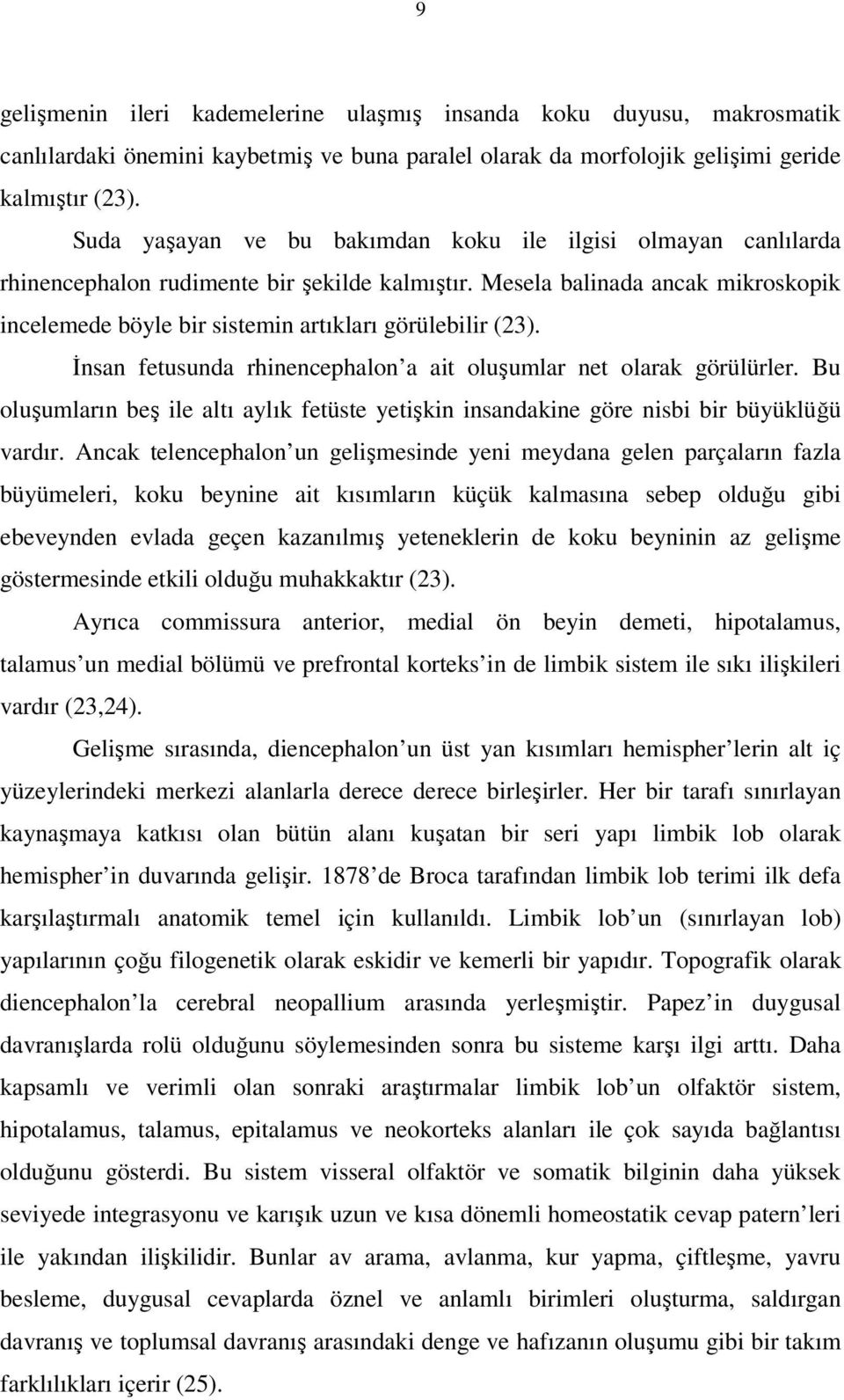 Mesela balinada ancak mikroskopik incelemede böyle bir sistemin artıkları görülebilir (23). İnsan fetusunda rhinencephalon a ait oluşumlar net olarak görülürler.