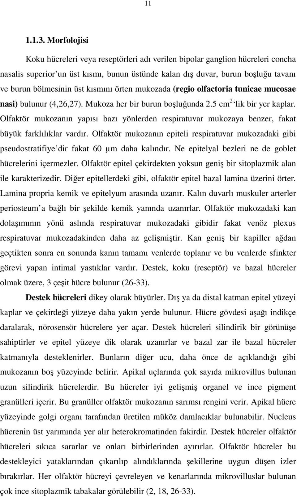 kısmını örten mukozada (regio olfactoria tunicae mucosae nasi) bulunur (4,26,27). Mukoza her bir burun boşluğunda 2.5 cm 2 lik bir yer kaplar.