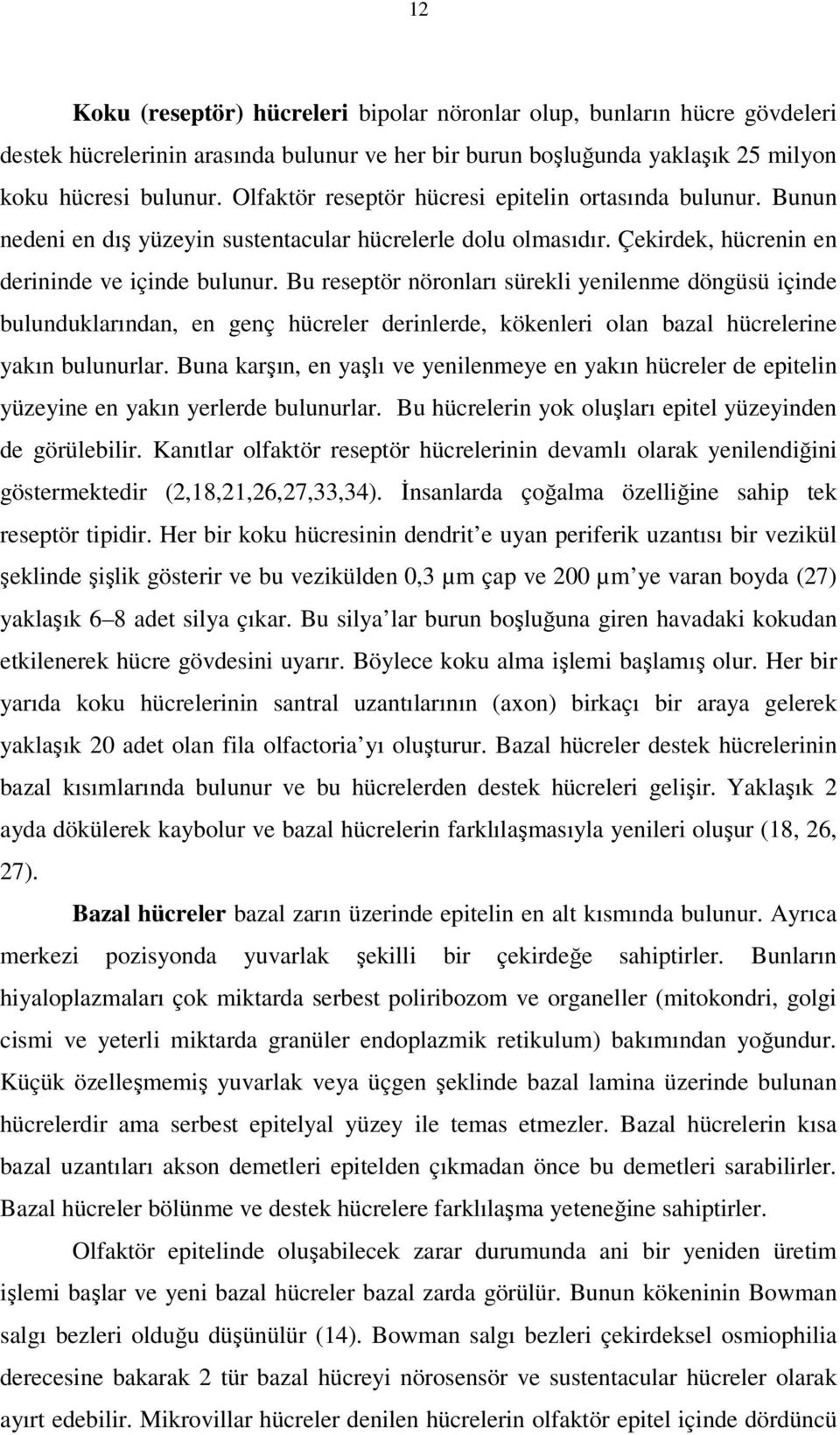 Bu reseptör nöronları sürekli yenilenme döngüsü içinde bulunduklarından, en genç hücreler derinlerde, kökenleri olan bazal hücrelerine yakın bulunurlar.