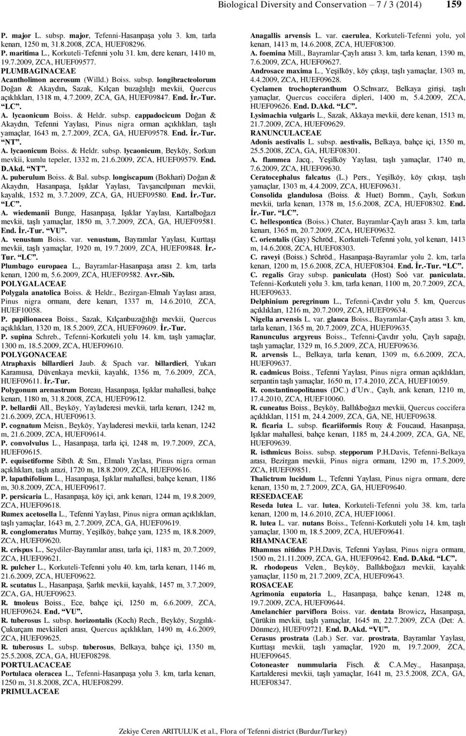 longibracteolorum Doğan & Akaydın, Sazak, Kılçan buzağılığı mevkii, Quercus açıklıkları, 1318 m, 4.7.2009, ZCA, GA, HUEF09847. End. İr.-Tur. A. lycaonicum Boiss. & Heldr. subsp.