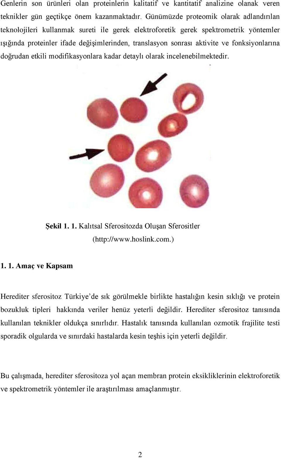 ve fonksiyonlarına doğrudan etkili modifikasyonlara kadar detaylı olarak incelenebilmektedir. Şekil 1.