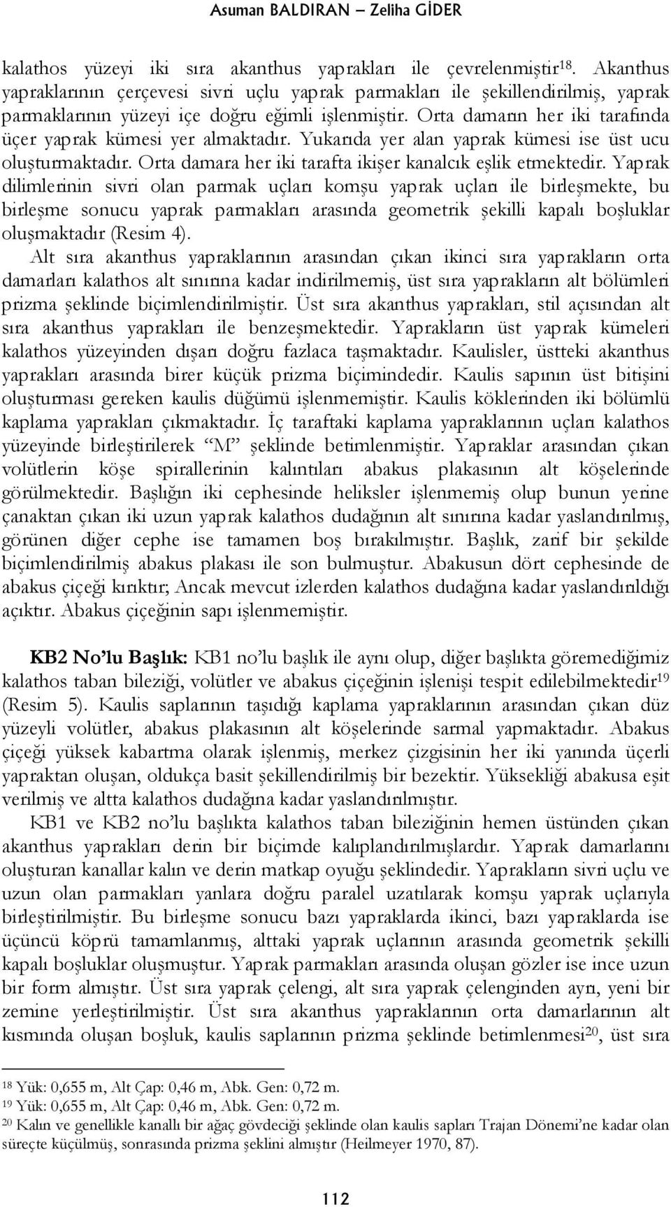 Orta damarın her iki tarafında üçer yaprak kümesi yer almaktadır. Yukarıda yer alan yaprak kümesi ise üst ucu oluşturmaktadır. Orta damara her iki tarafta ikişer kanalcık eşlik etmektedir.