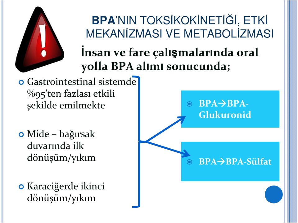 çalışmalarında oral yolla BPA alımı sonucunda; BPA BPA- Glukuronid Mide