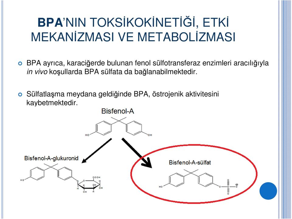 aracılığıyla in vivo koşullarda BPA sülfata da bağlanabilmektedir.