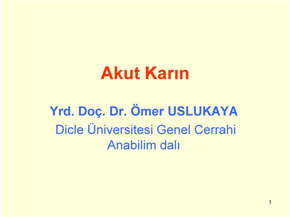 Dicle Üniversitesi