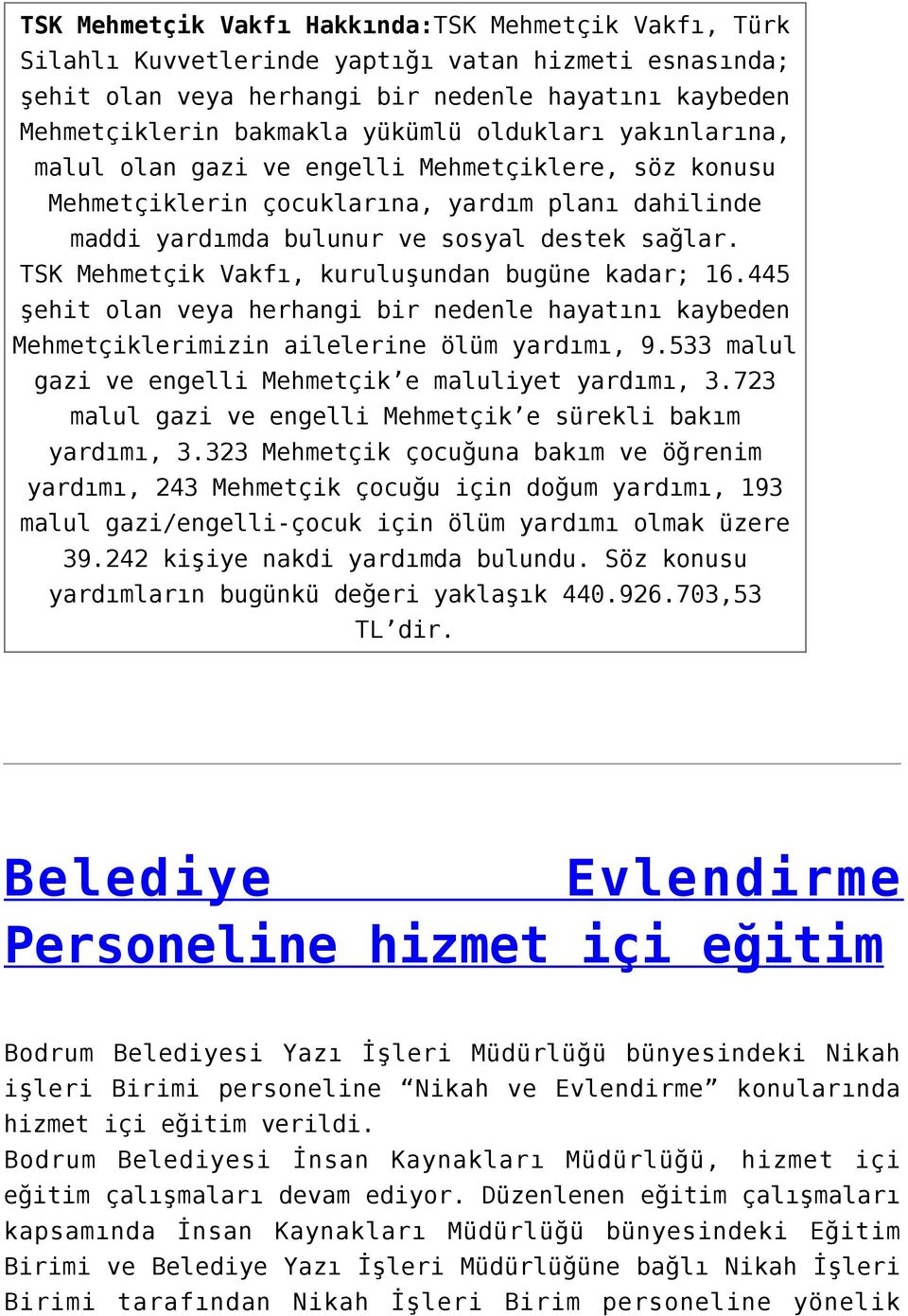 TSK Mehmetçik Vakfı, kuruluşundan bugüne kadar; 16.445 şehit olan veya herhangi bir nedenle hayatını kaybeden Mehmetçiklerimizin ailelerine ölüm yardımı, 9.