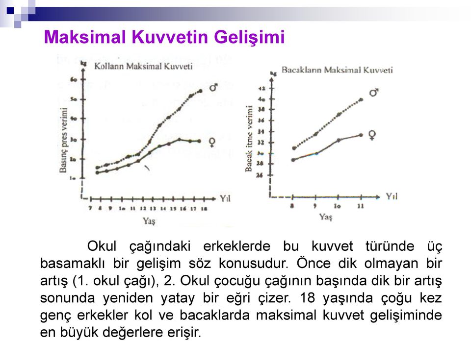 Okul çocuğu çağının başında dik bir artış sonunda yeniden yatay bir eğri çizer.