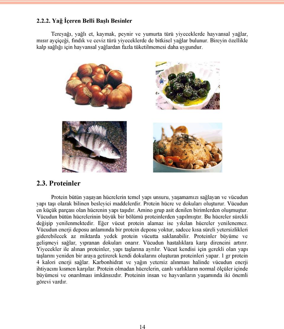 Proteinler Protein bütün yaşayan hücrelerin temel yapı unsuru, yaşamamızı sağlayan ve vücudun yapı taşı olarak bilinen besleyici maddelerdir. Protein hücre ve dokuları oluşturur.