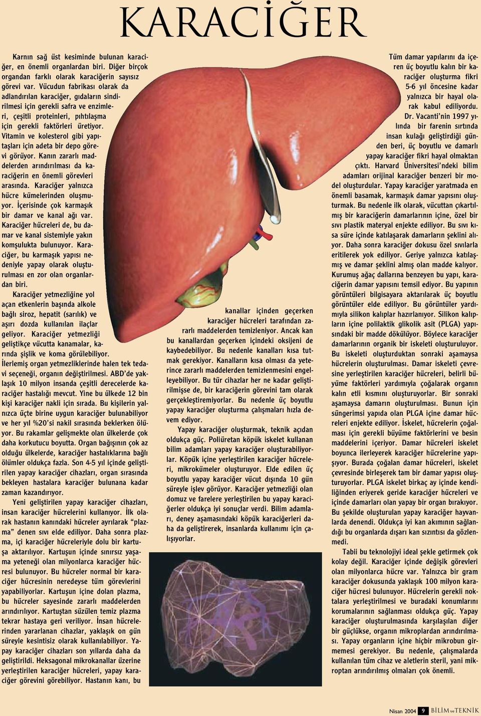 Vitamin ve kolesterol gibi yap - tafllar için adeta bir depo görevi görüyor. Kan n zararl maddelerden ar nd r lmas da karaci erin en önemli görevleri aras nda.