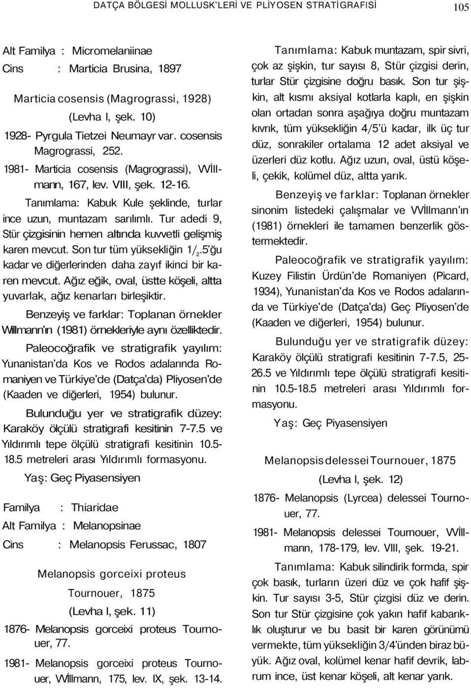 Tanımlama: Kabuk Kule şeklinde, turlar ince uzun, muntazam sarılımlı. Tur adedi 9, Stür çizgisinin hemen altında kuvvetli gelişmiş karen mevcut. Son tur tüm yüksekliğin 1/ 2.