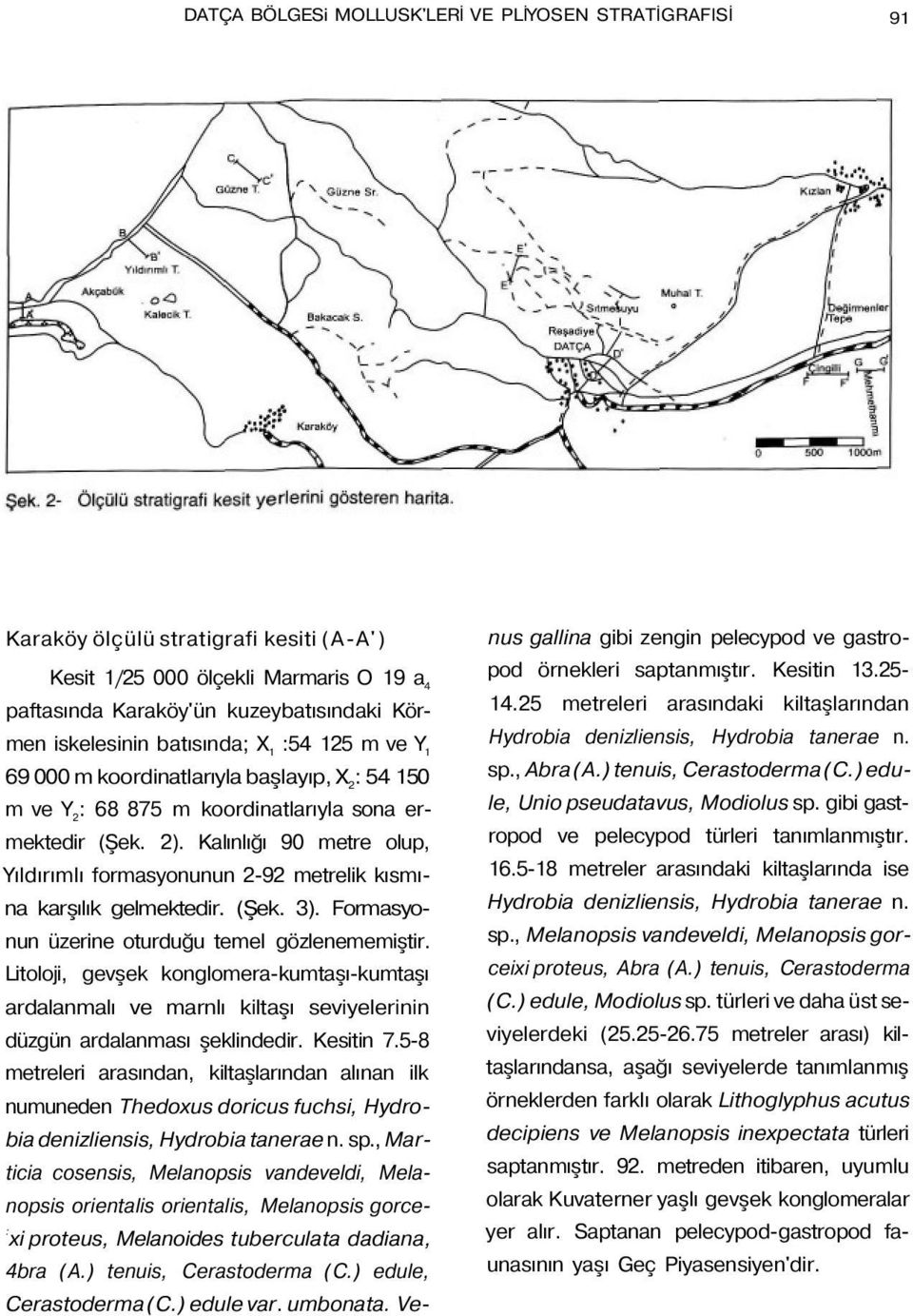 Kalınlığı 90 metre olup, Yıldırımlı formasyonunun 2-92 metrelik kısmına karşılık gelmektedir. (Şek. 3). Formasyonun üzerine oturduğu temel gözlenememiştir.