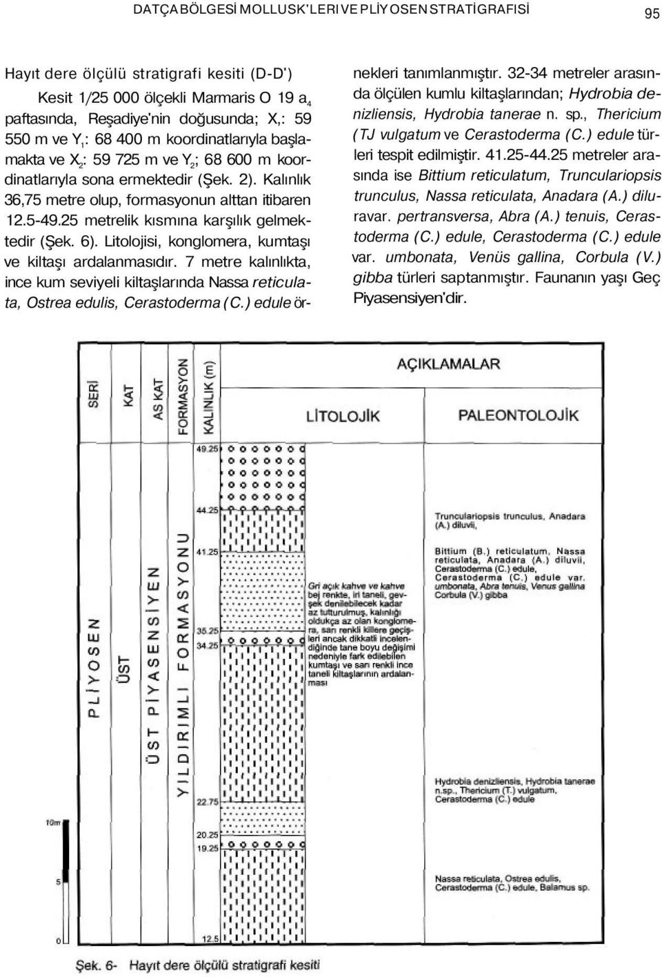 25 metrelik kısmına karşılık gelmektedir (Şek. 6). Litolojisi, konglomera, kumtaşı ve kiltaşı ardalanmasıdır.