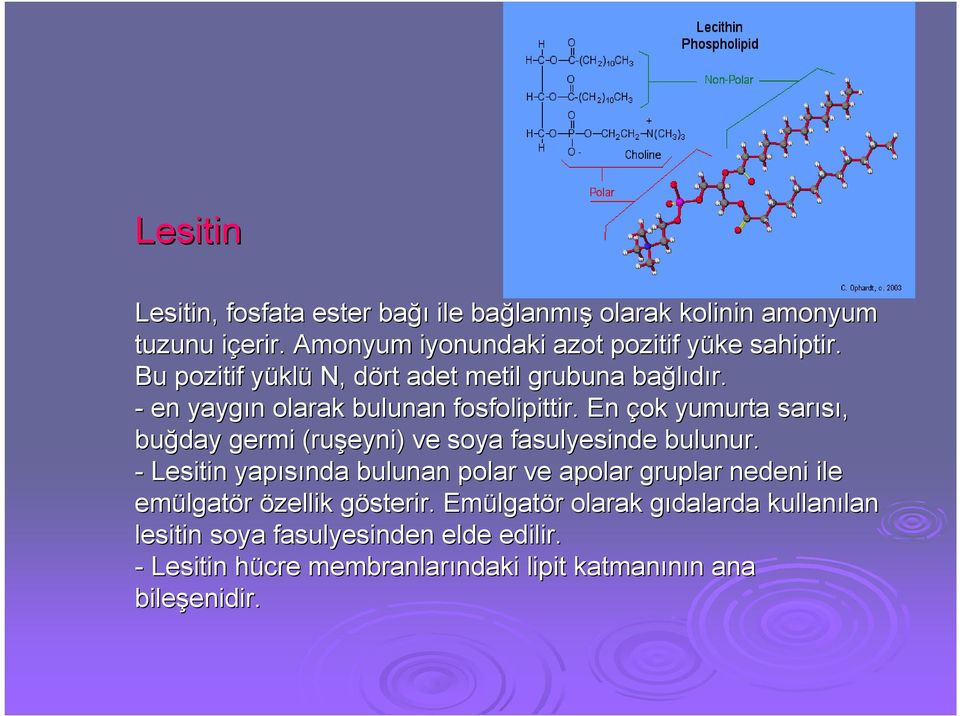 . En çok yumurta sarısı, buğday germi (ru( ruşeyni) ) ve soya fasulyesinde bulunur.