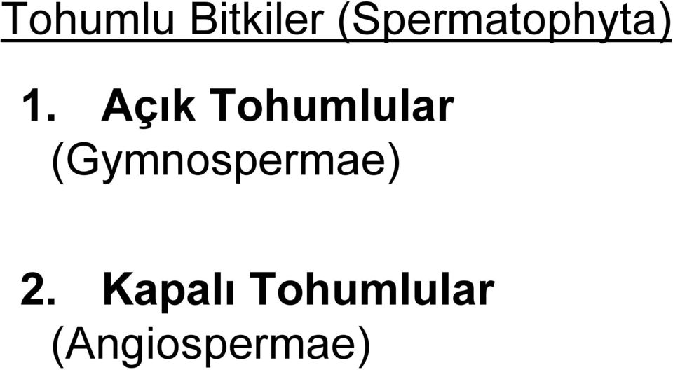 Açık Tohumlular